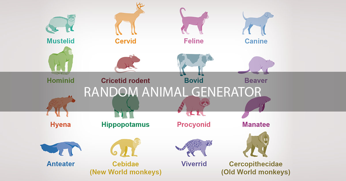 Random Animal Generator