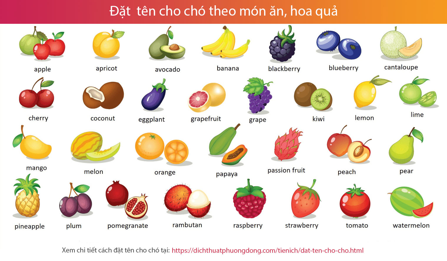 Đặt tên cho chó theo món ăn